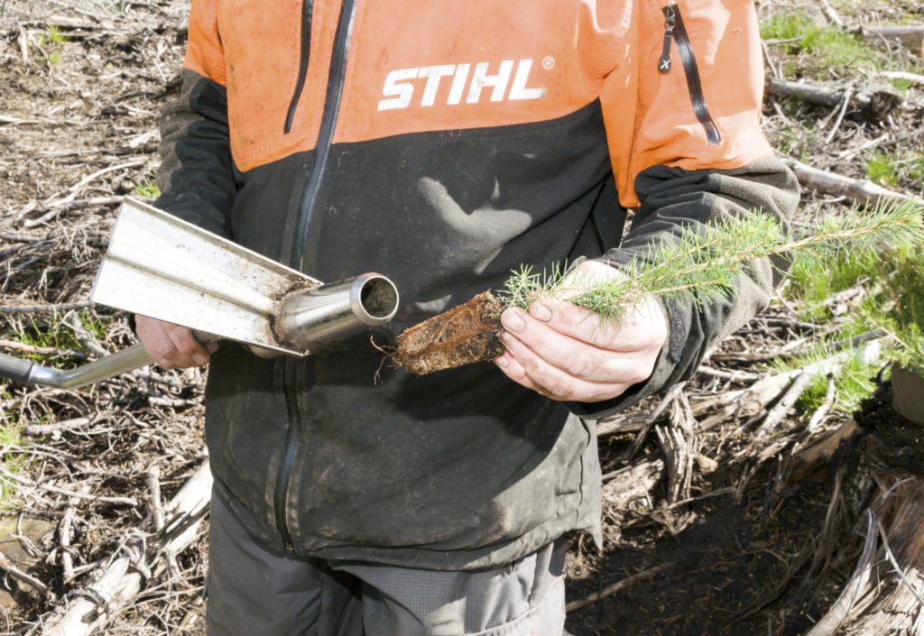 Nye tilskudd til gjødsling og planting Nye tilskudd til gjødsling og planting
