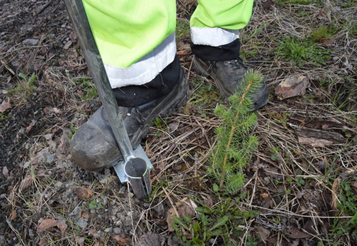 Redskapet kalles plantespett eller hullpipe, som lager et hull til plantens rot