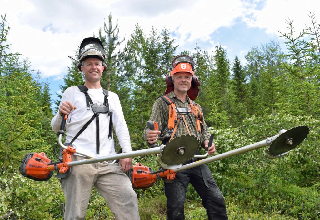 Derfor bør du stelle skogen Derfor bør du stelle skogen