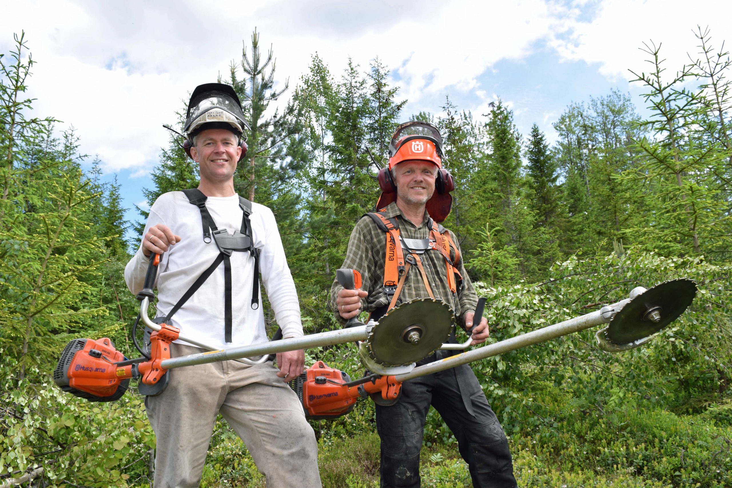 Tømmerpriser 2016 at skog Tømmerpriser 2016 at skog