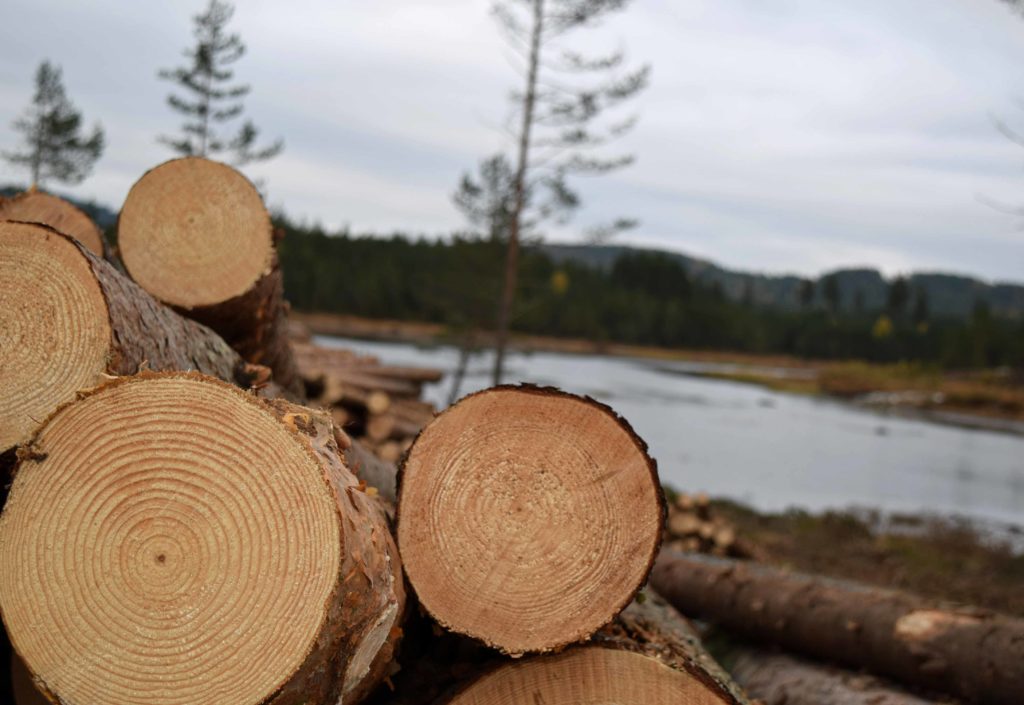 Leveringsavtale på bjørk finérkubb Leveringsavtale på bjørk finérkubb