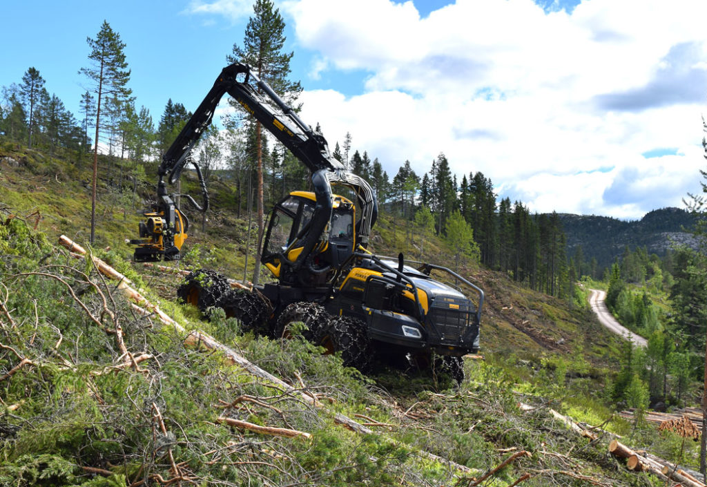 Ny markedsansvarlig for BEDRESKOG Ny markedsansvarlig for BEDRESKOG