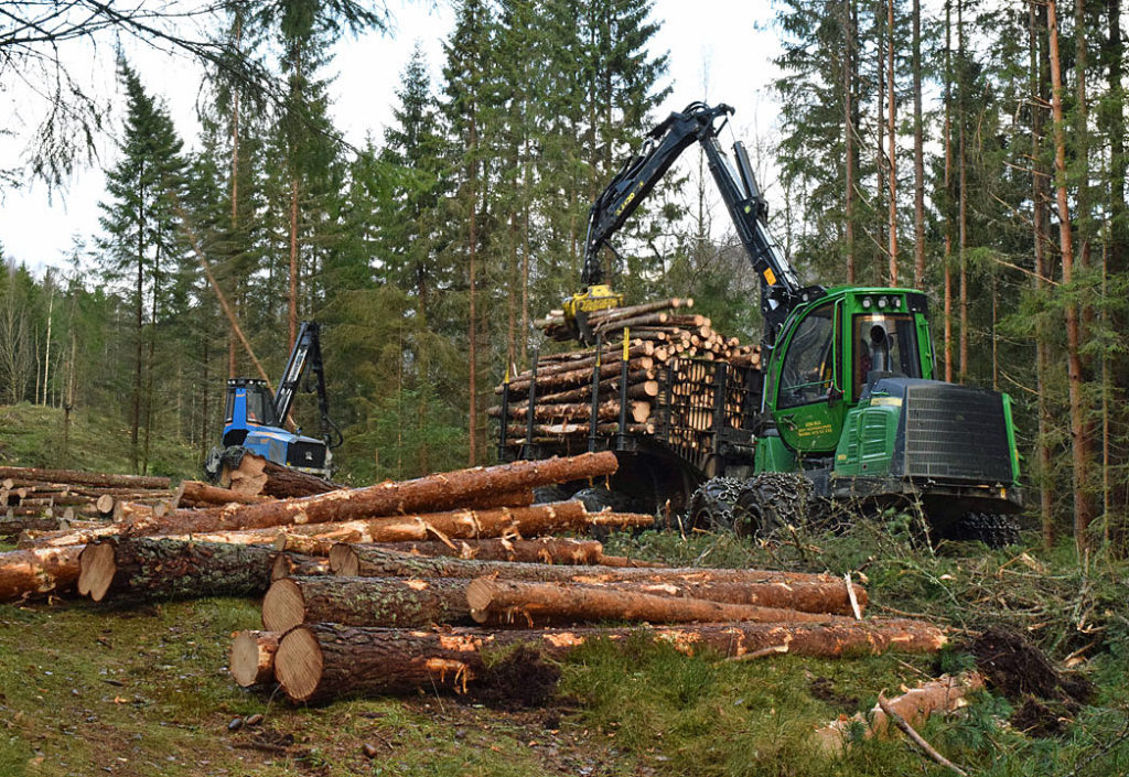 Hogststart i Agder etter dispensasjon Hogststart i Agder etter dispensasjon