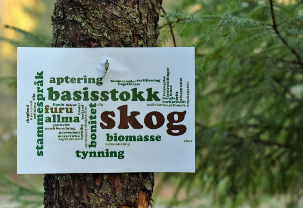 Sammen om nyinvesteringer i skog Sammen om nyinvesteringer i skog