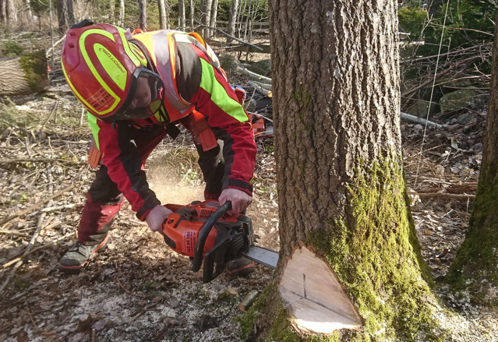 Nytt selskap i linjerydding Nytt selskap i linjerydding