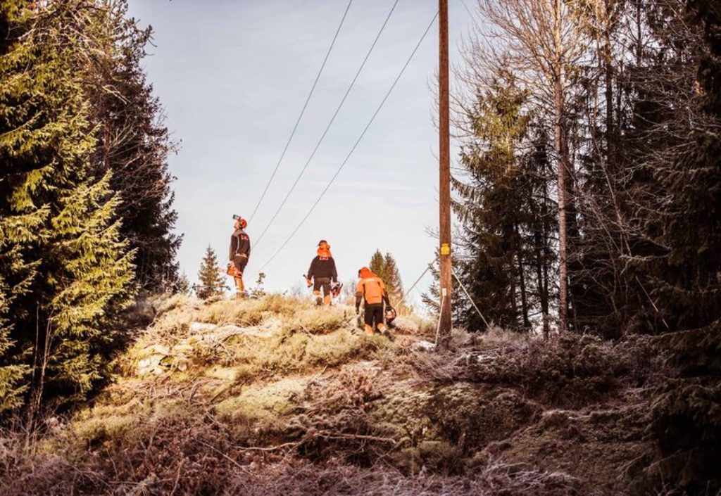 Norsk Skogrydding søker daglig leder Norsk Skogrydding søker daglig leder