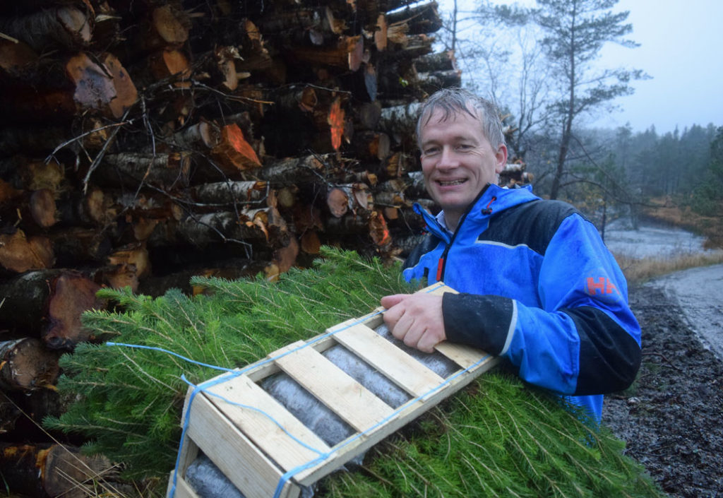 Hogger kratt – planter 50 000 trær Hogger kratt – planter 50 000 trær