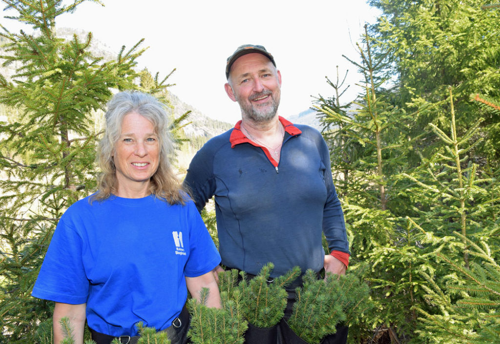 Øystein og Diana skal plante 30 000 Øystein og Diana skal plante 30 000