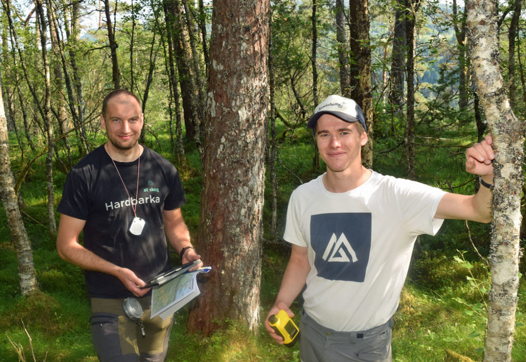 Vurderer du skogvern? Kontakt oss Vurderer du skogvern? Kontakt oss